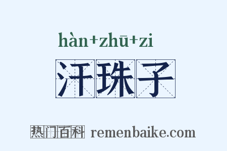 汗珠子是什么意思的图片